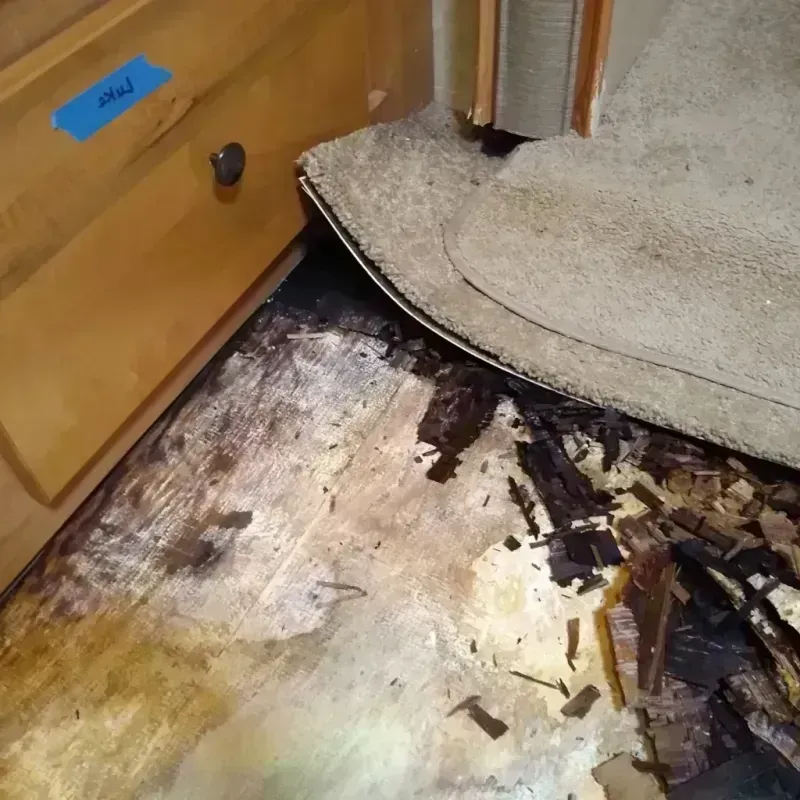 Wood Floor Water Damage in Dolton, IL